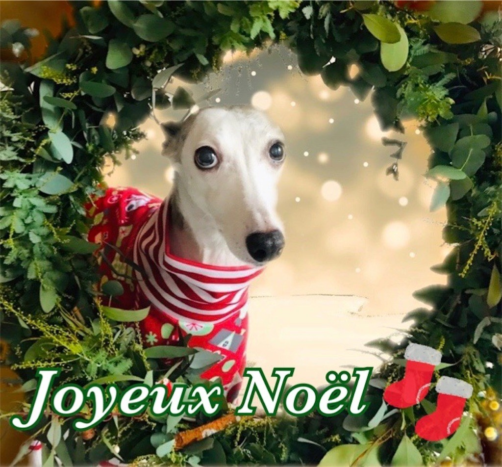 f:id:joju8:20211224183854j:image