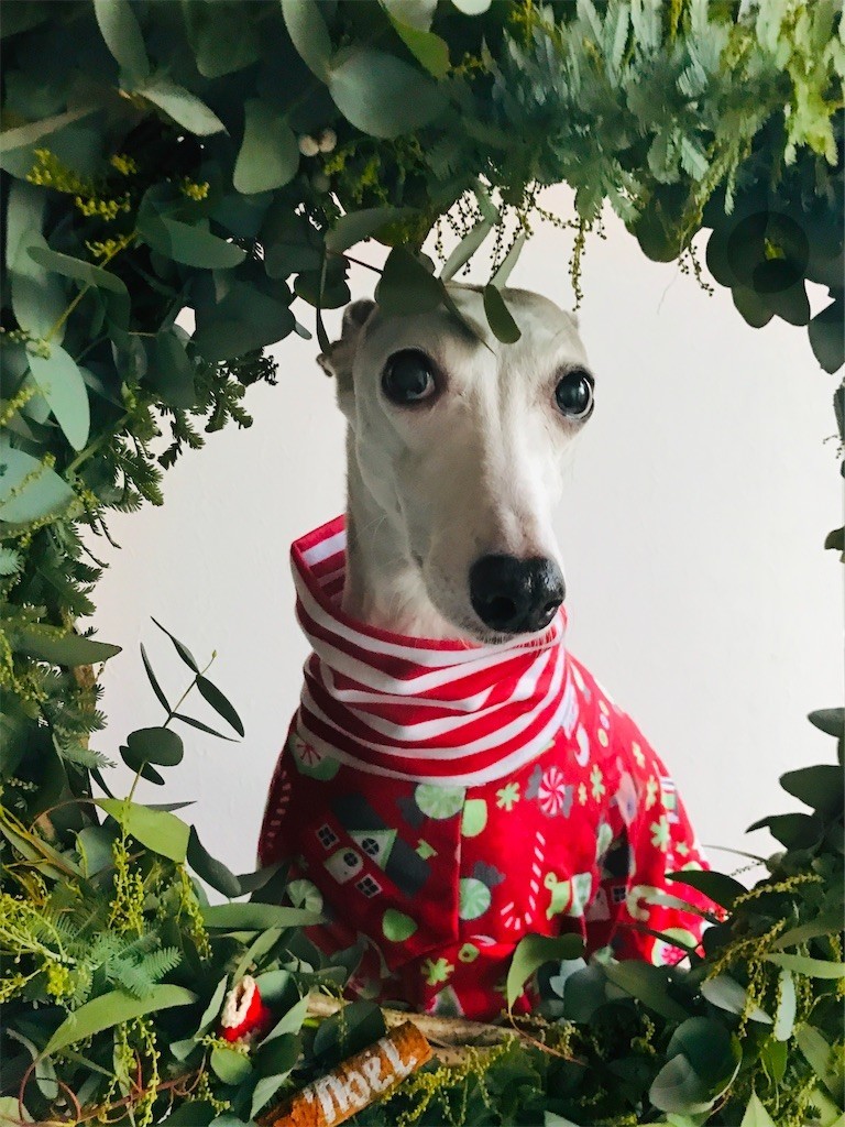 f:id:joju8:20211224184009j:plain