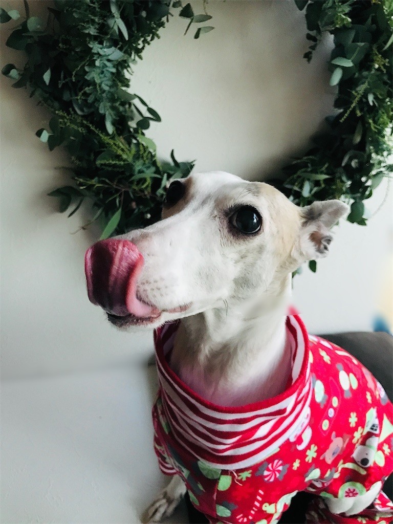 f:id:joju8:20211224215331j:plain