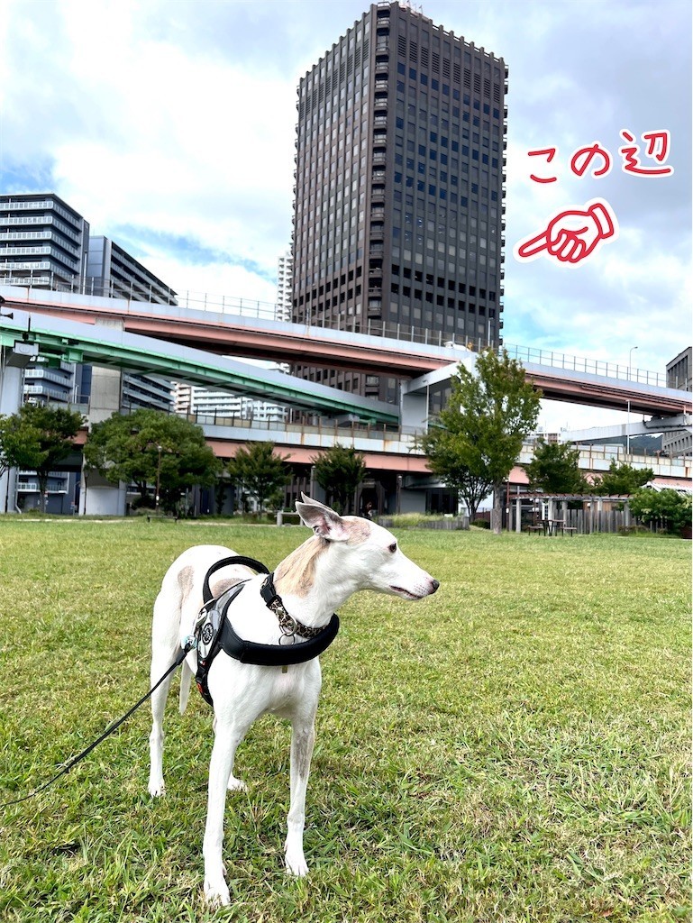 f:id:joju8:20220922094744j:image