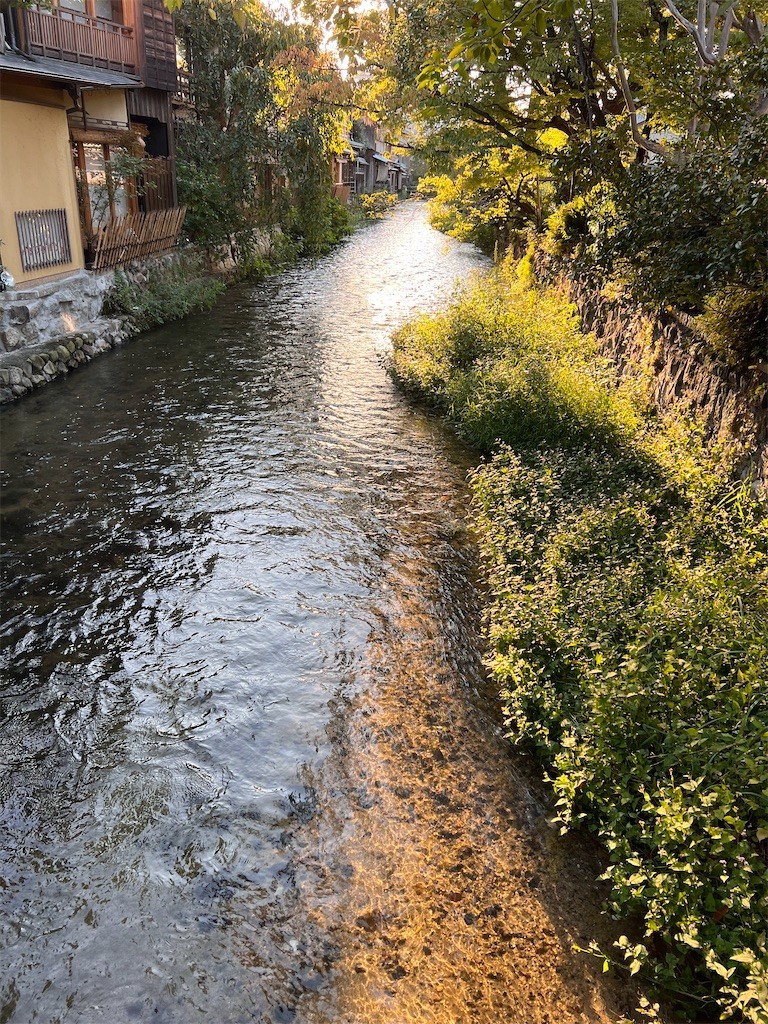 f:id:joju8:20221107172646j:image