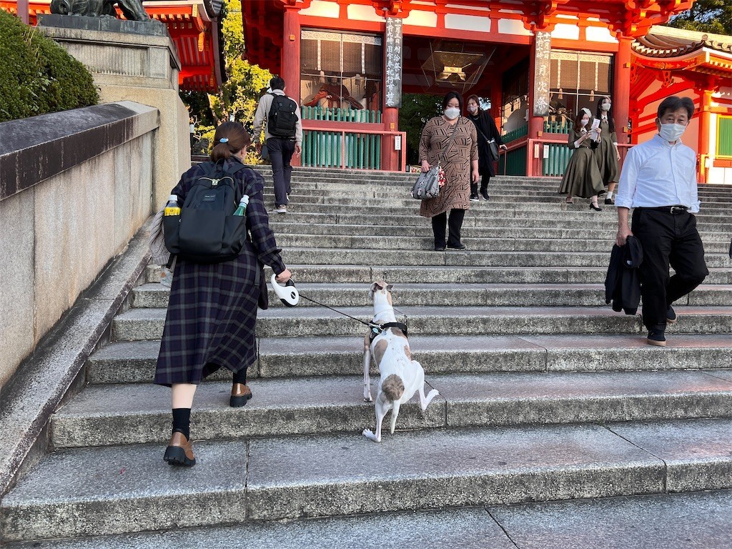 f:id:joju8:20221107172808j:image