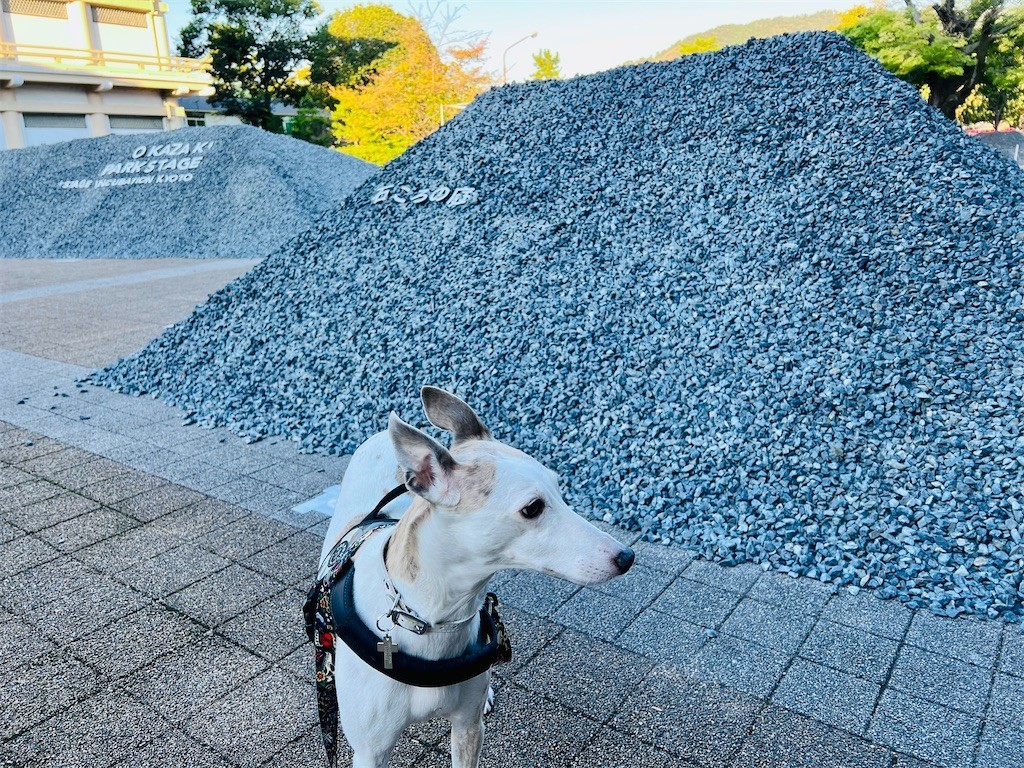 f:id:joju8:20221107172830j:image