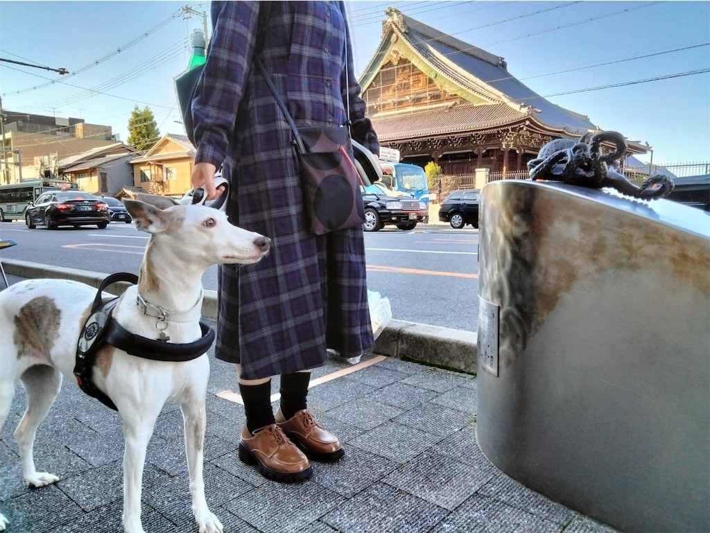 f:id:joju8:20221107172833j:image