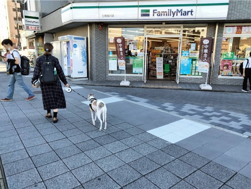 f:id:joju8:20221107172837j:image