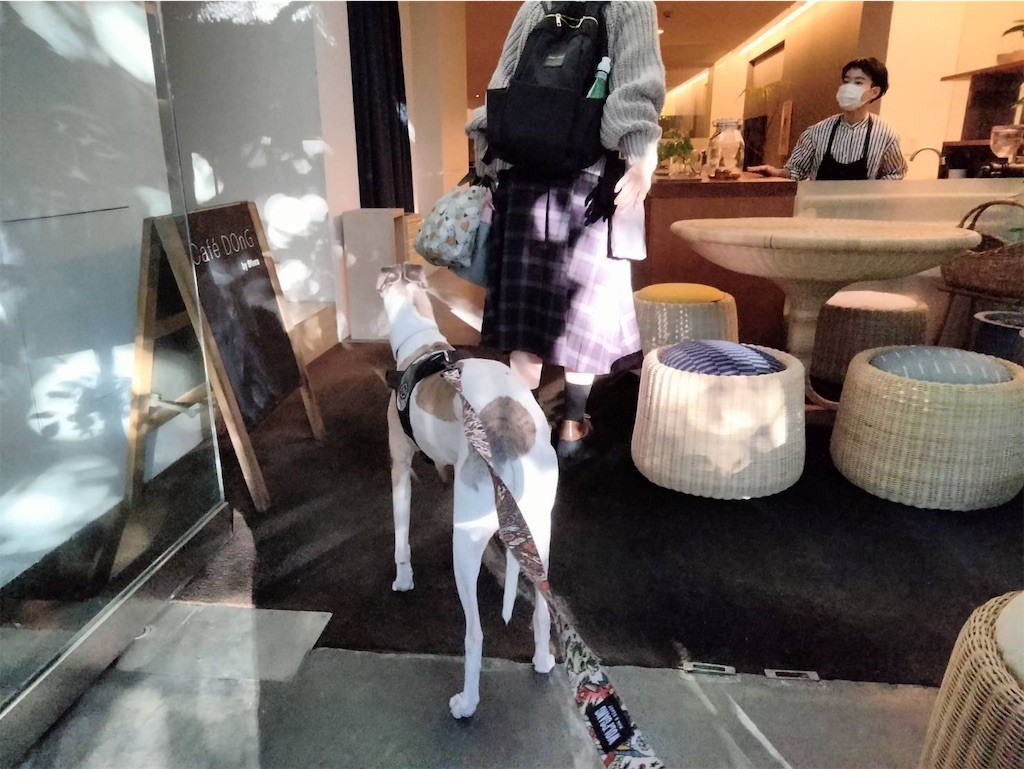 f:id:joju8:20221107172840j:image