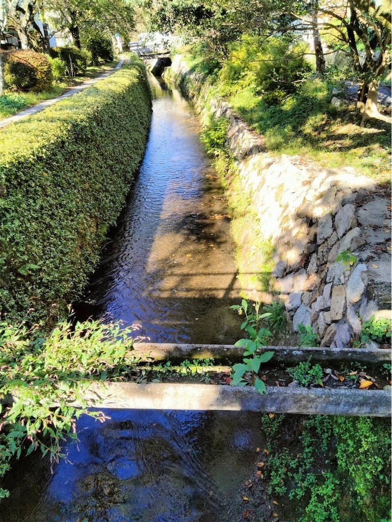 f:id:joju8:20221107172843j:image