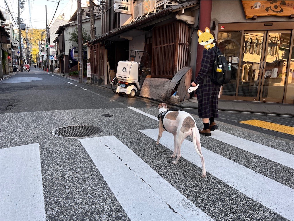 f:id:joju8:20221108200850j:image