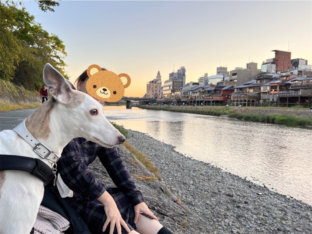 f:id:joju8:20221108200914j:image