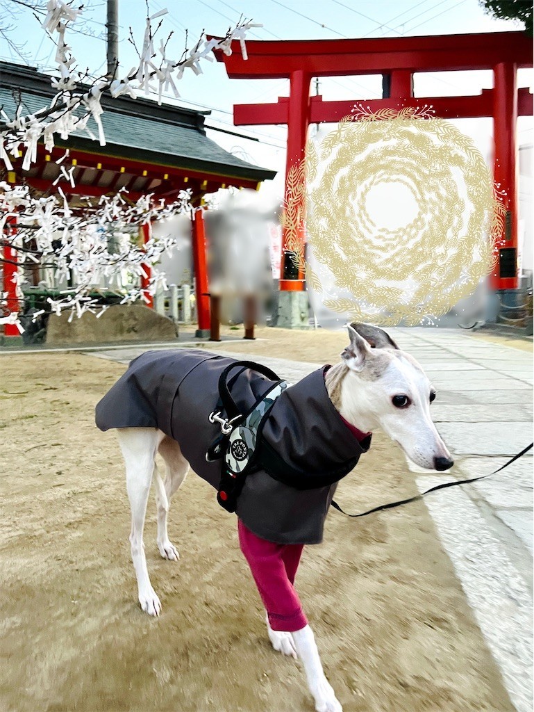 f:id:joju8:20230112114431j:image f:id:joju8:20230112114431j:image