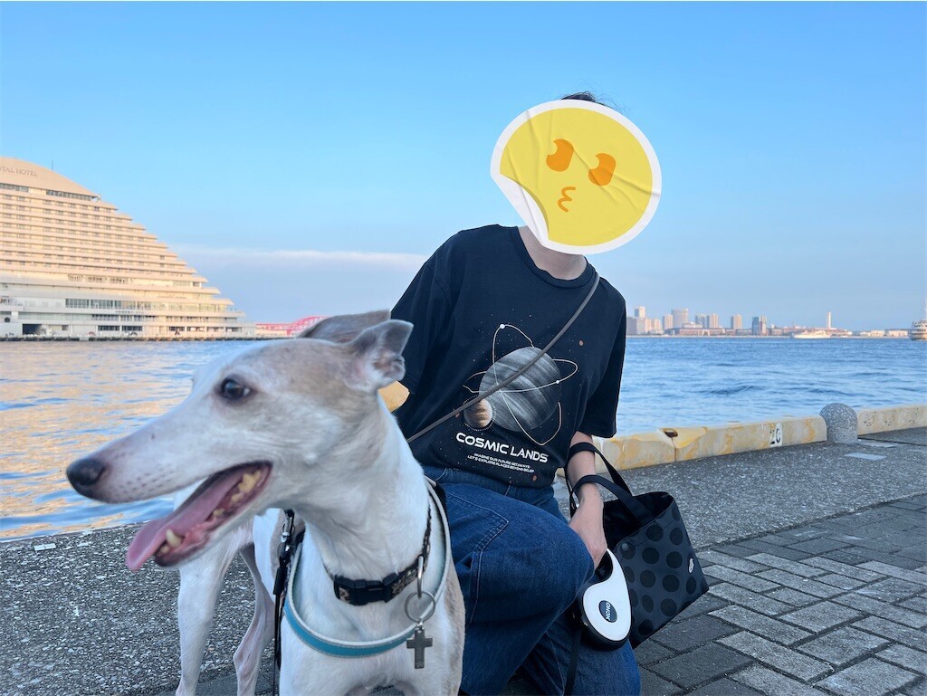 f:id:joju8:20240127162136j:image