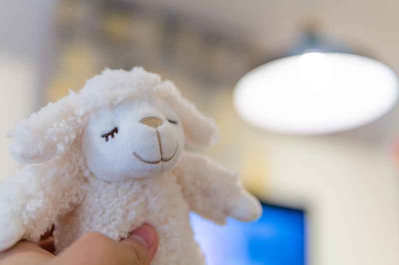 f:id:joko0108:20170803225438j:plain