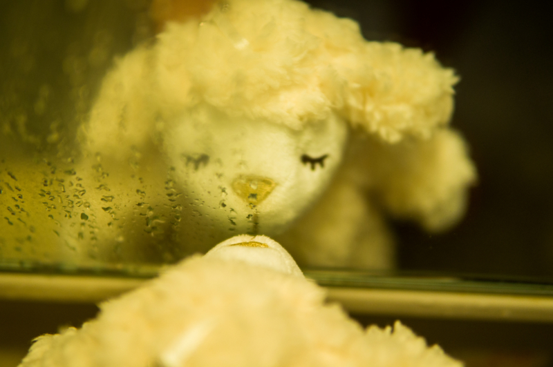 f:id:joko0108:20170830135908j:plain