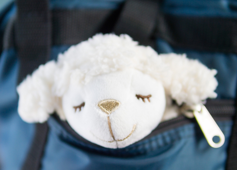 f:id:joko0108:20170910211650j:plain