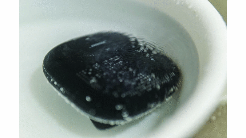 f:id:joko0108:20170923102016g:plain