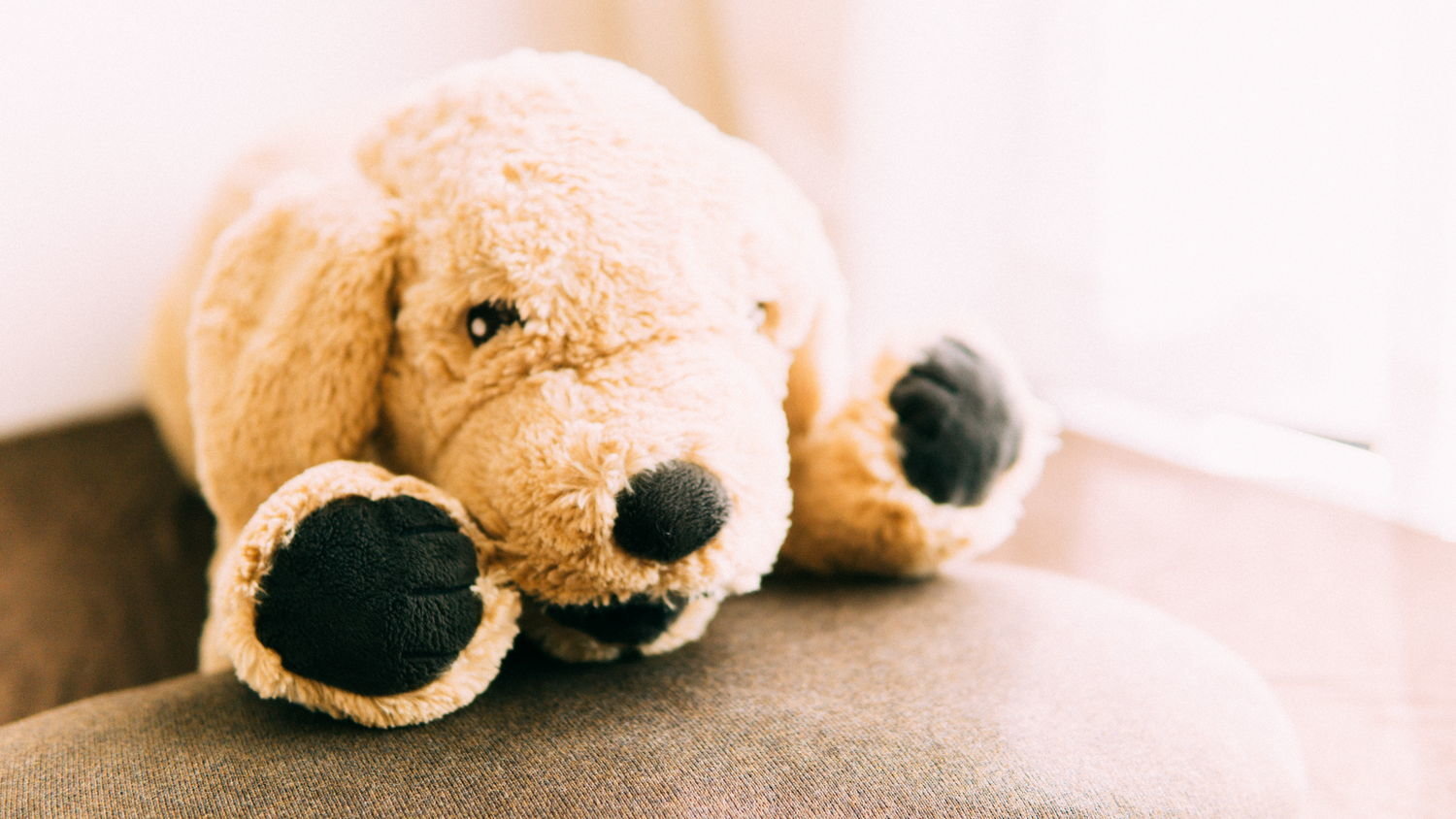 f:id:joko0108:20171119101652j:plain