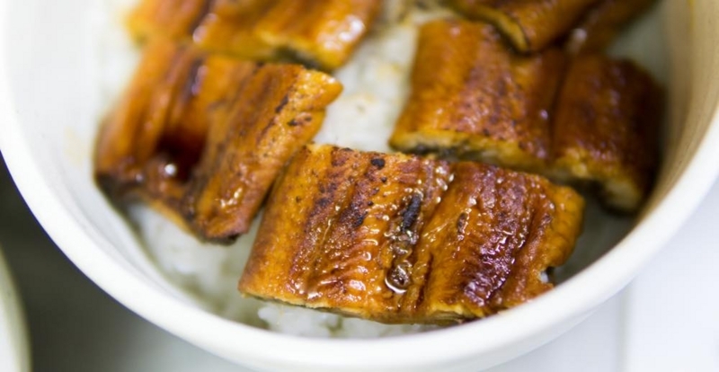 f:id:joko0108:20171129230300j:plain