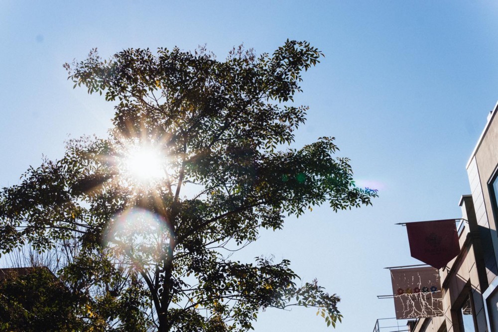 f:id:joko0108:20171223090638j:plain