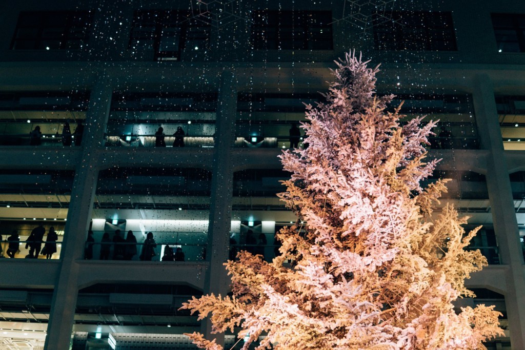 f:id:joko0108:20171231190944j:plain