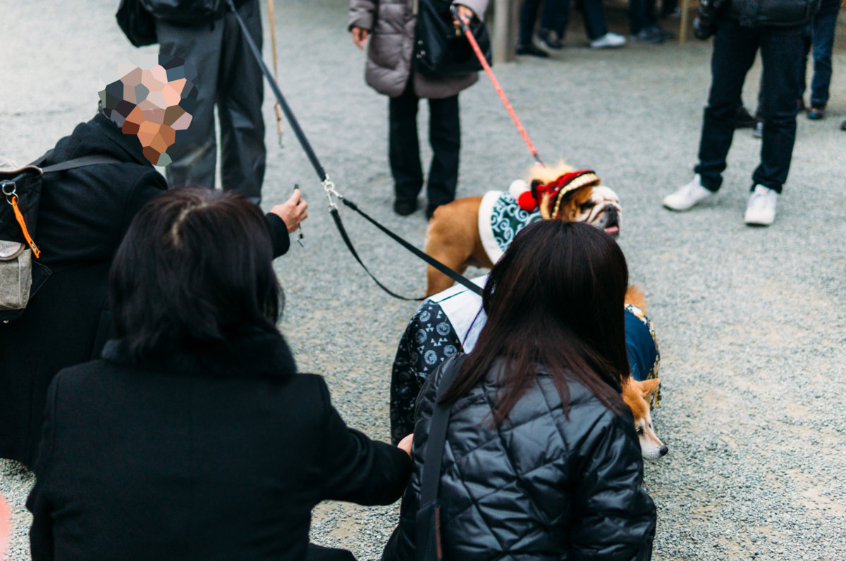 f:id:joko0108:20180114115046j:plain