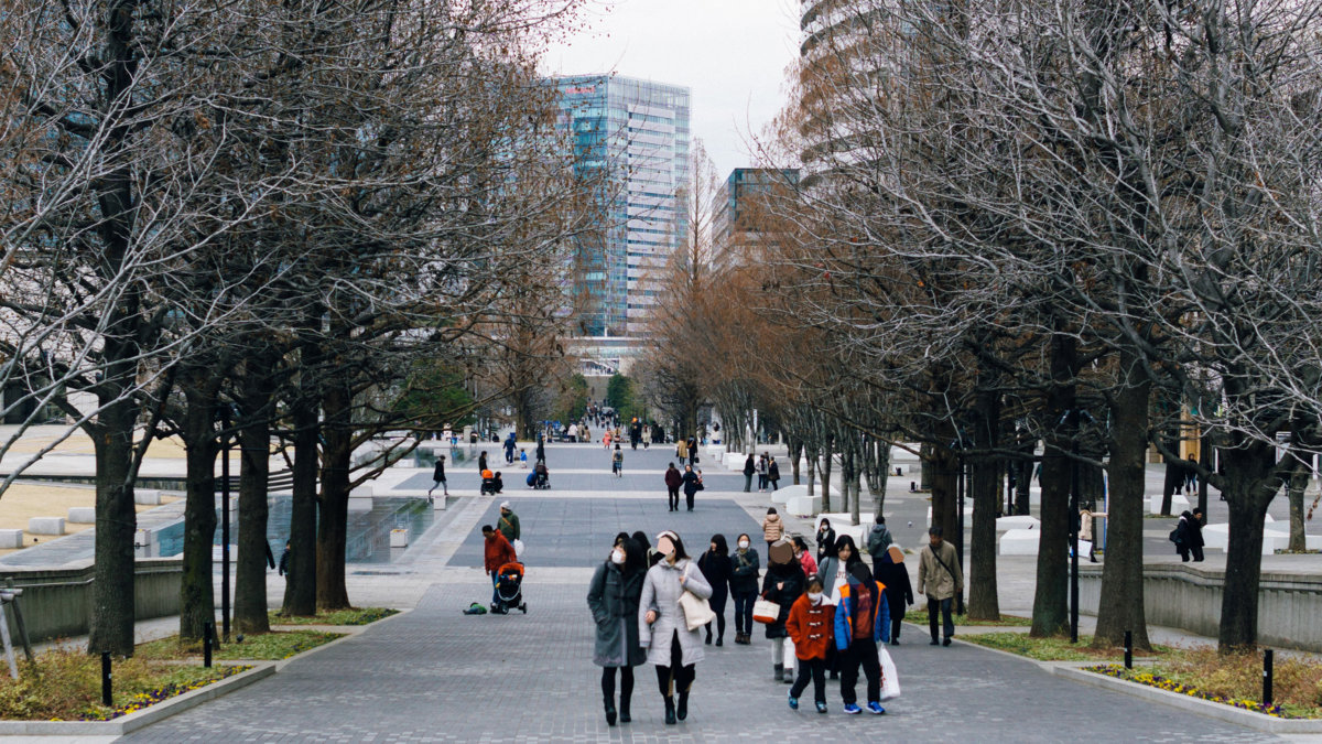 f:id:joko0108:20180114115141j:plain