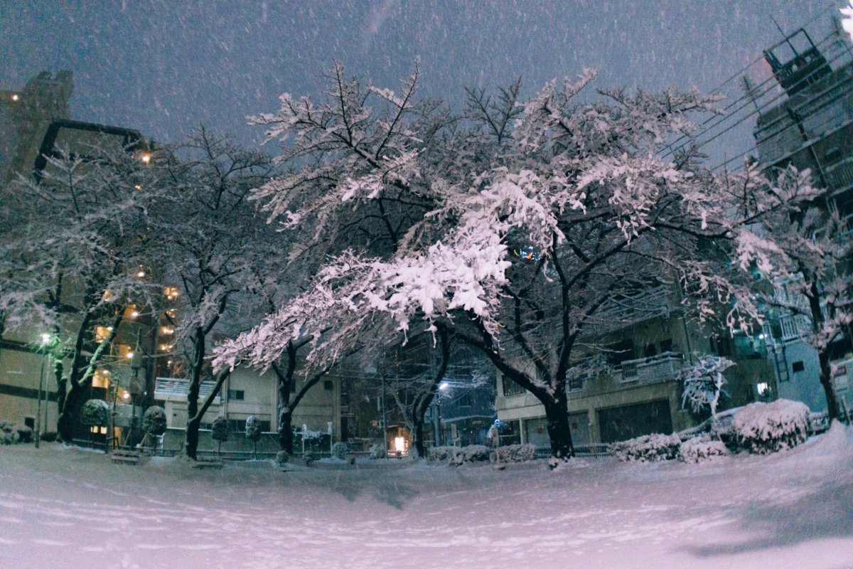 f:id:joko0108:20180123081947j:plain f:id:joko0108:20180123081947j:plain