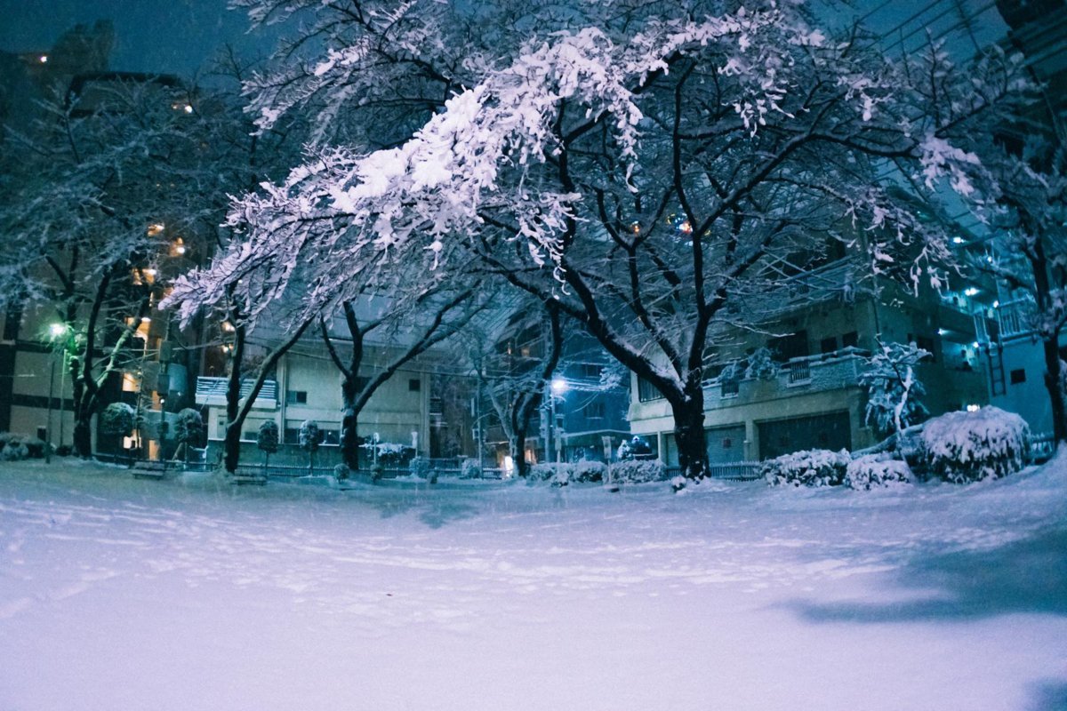 f:id:joko0108:20180123081950j:plain f:id:joko0108:20180123081950j:plain