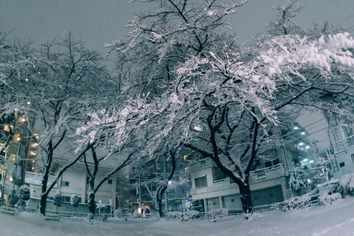 f:id:joko0108:20180123081956j:plain f:id:joko0108:20180123081956j:plain