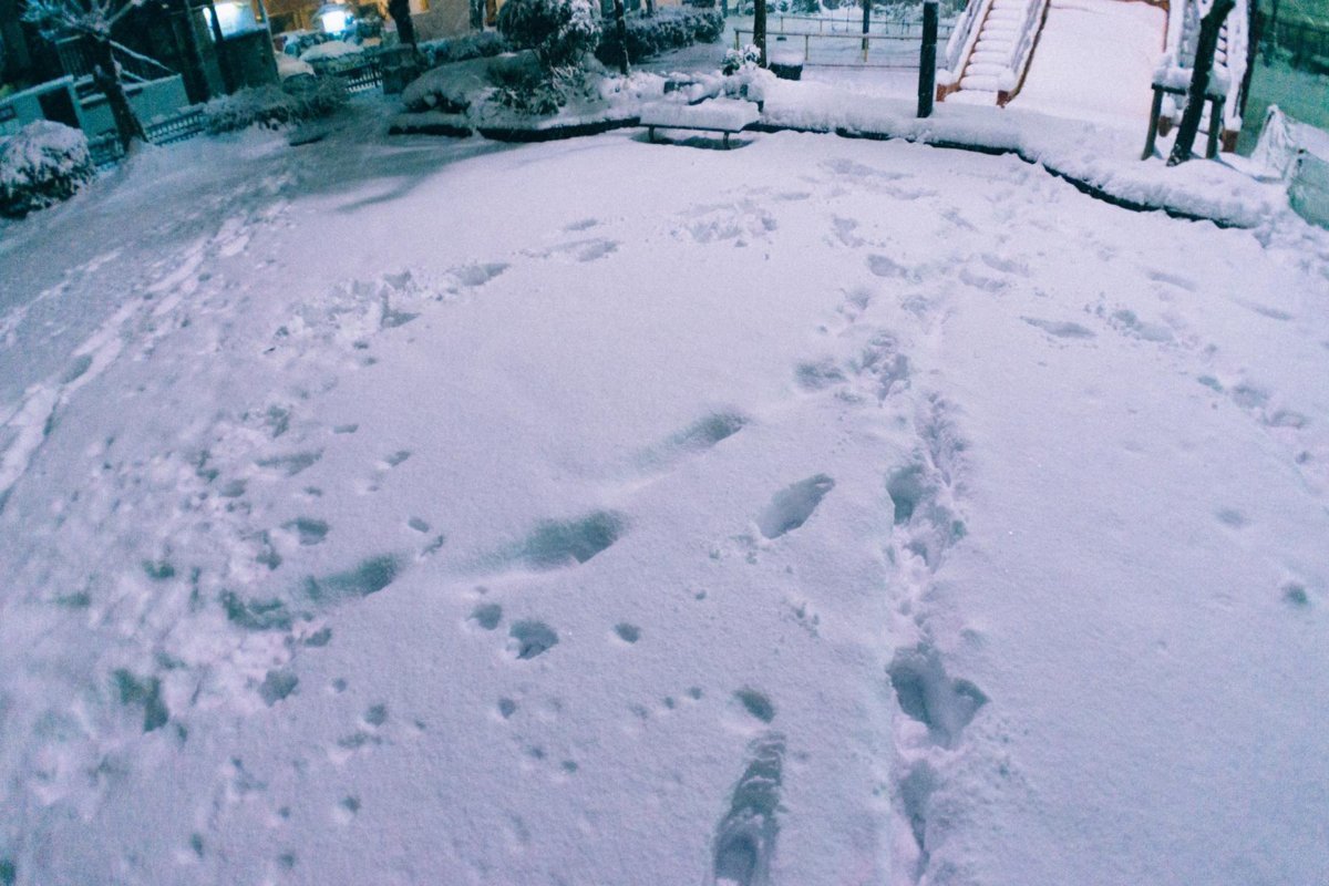 f:id:joko0108:20180123081957j:plain f:id:joko0108:20180123081957j:plain