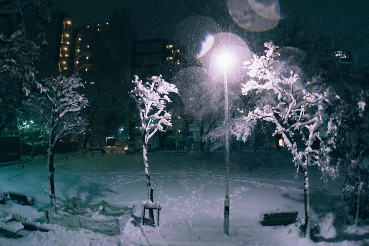 f:id:joko0108:20180123081958j:plain f:id:joko0108:20180123081958j:plain