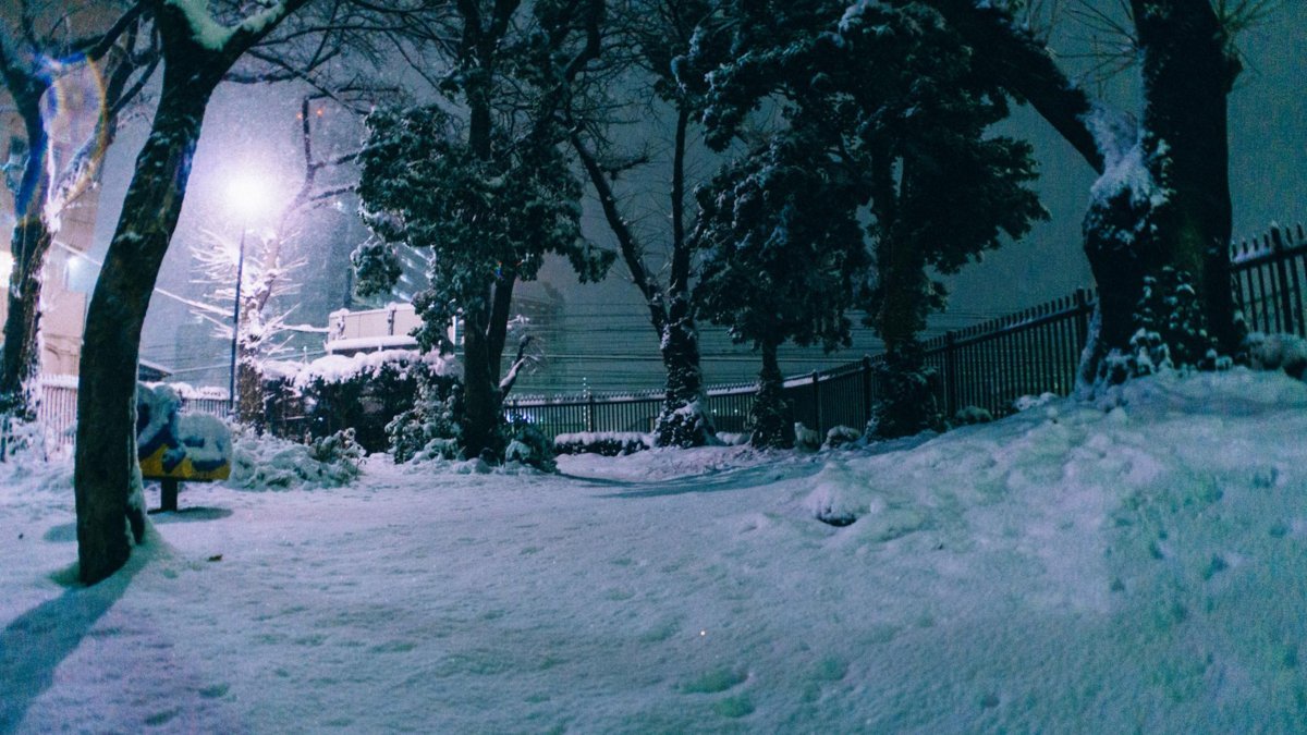 f:id:joko0108:20180123081959j:plain f:id:joko0108:20180123081959j:plain