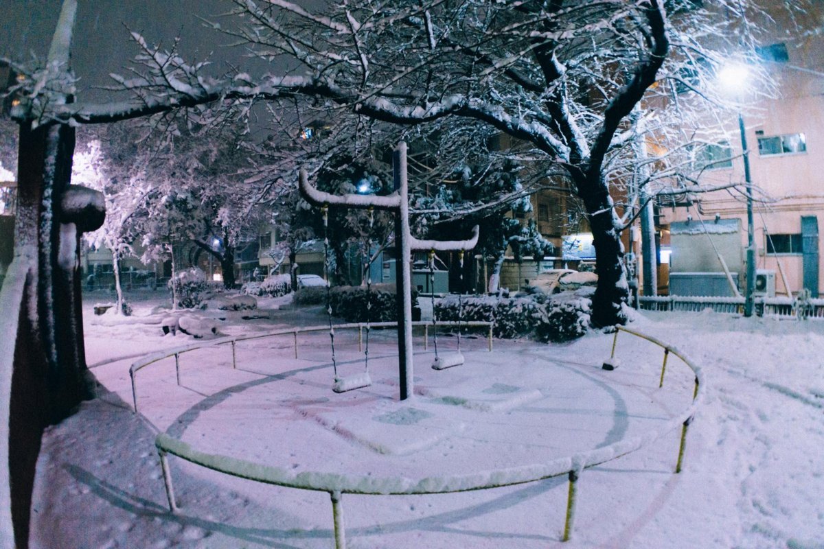 f:id:joko0108:20180123082000j:plain f:id:joko0108:20180123082000j:plain