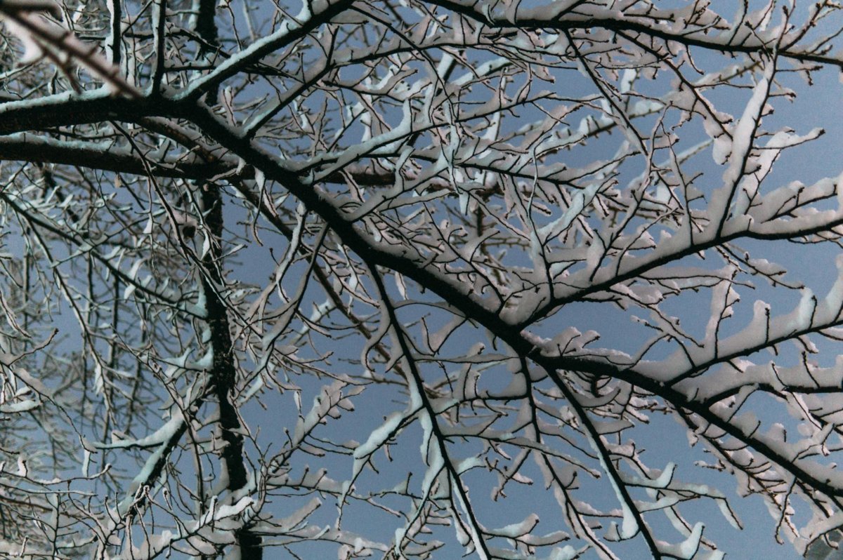 f:id:joko0108:20180123082007j:plain f:id:joko0108:20180123082007j:plain