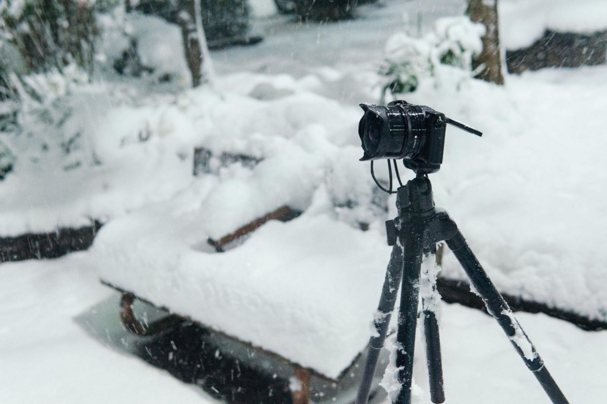 f:id:joko0108:20180123082013j:plain f:id:joko0108:20180123082013j:plain