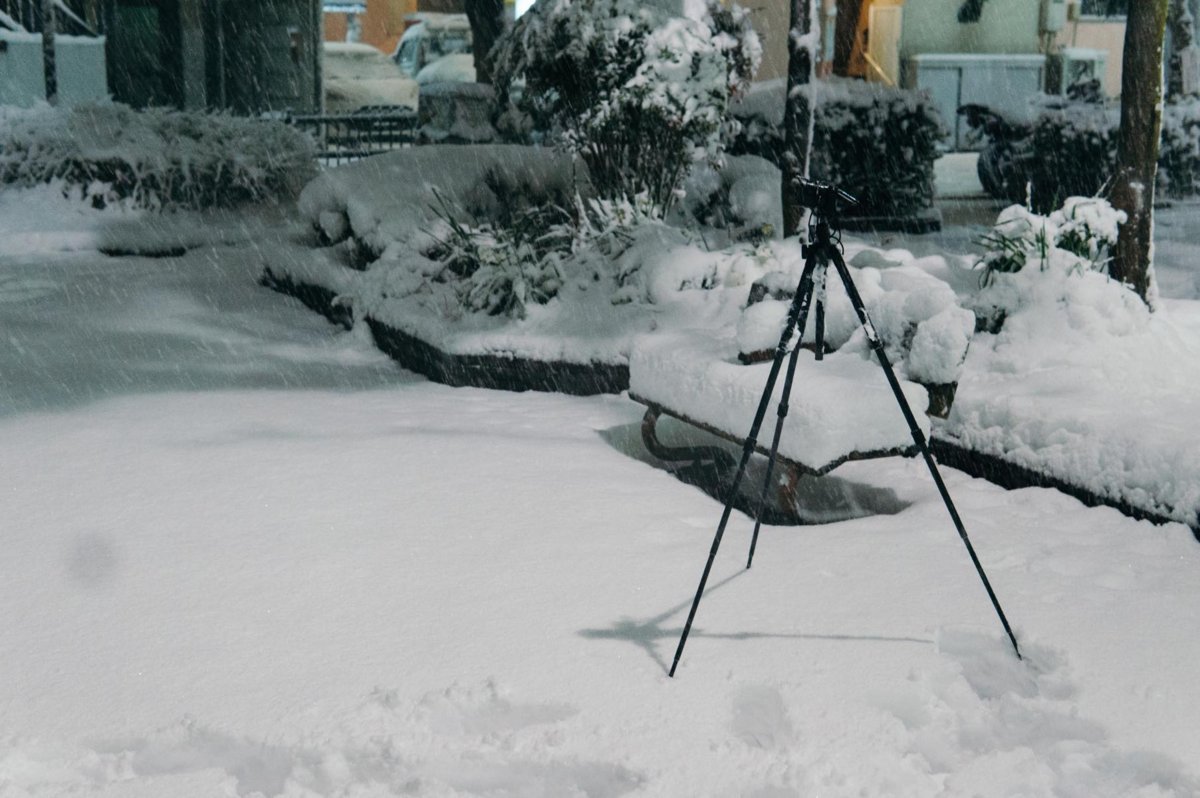 f:id:joko0108:20180123082014j:plain f:id:joko0108:20180123082014j:plain