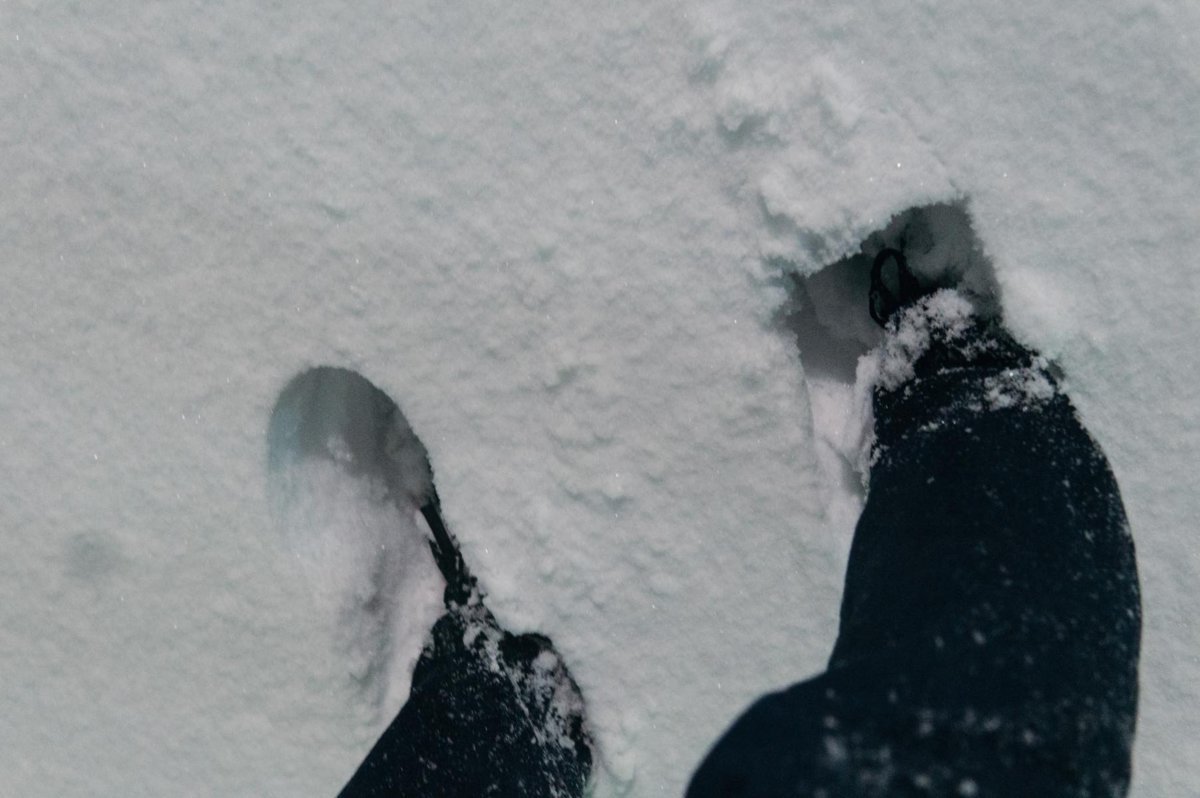 f:id:joko0108:20180123082017j:plain f:id:joko0108:20180123082017j:plain