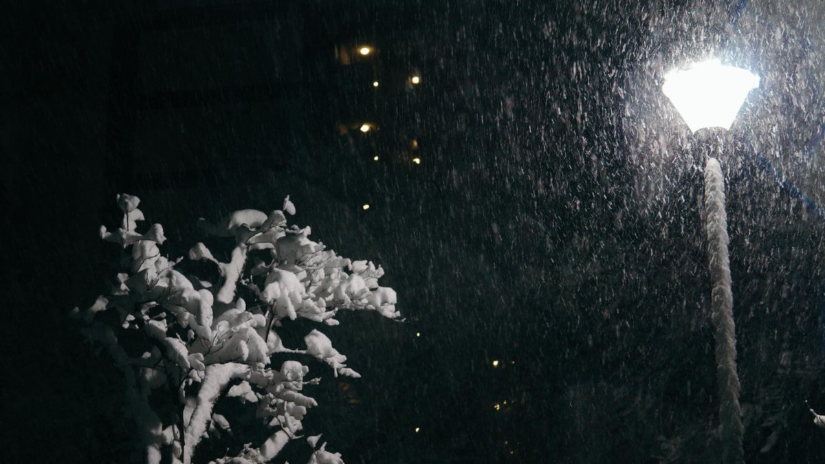 f:id:joko0108:20180123082019j:plain f:id:joko0108:20180123082019j:plain