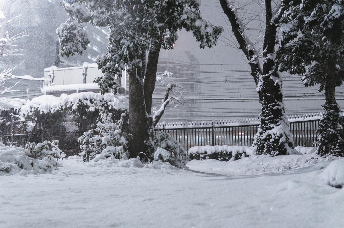 f:id:joko0108:20180123082021j:plain f:id:joko0108:20180123082021j:plain