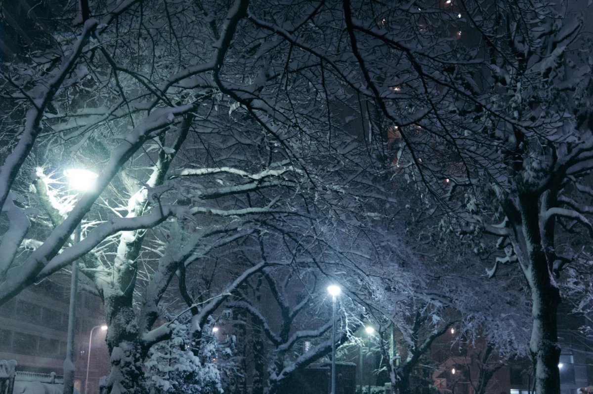 f:id:joko0108:20180123082024j:plain f:id:joko0108:20180123082024j:plain