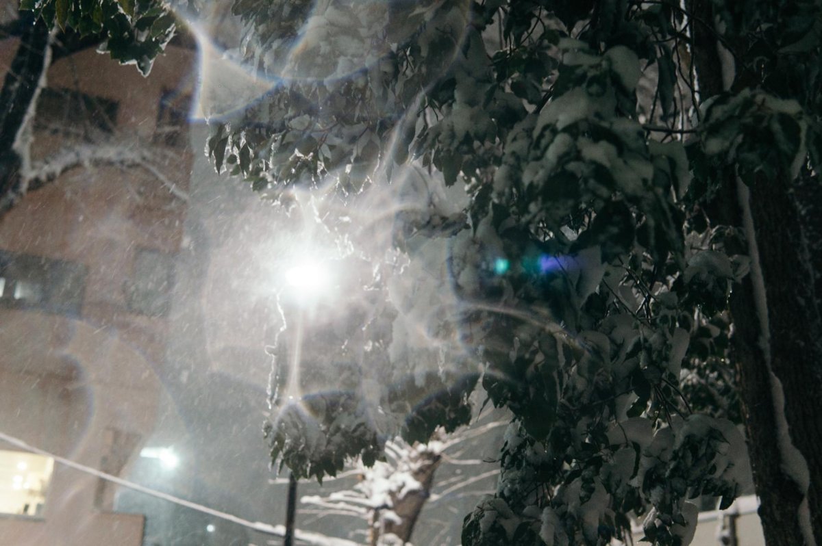 f:id:joko0108:20180123082025j:plain f:id:joko0108:20180123082025j:plain