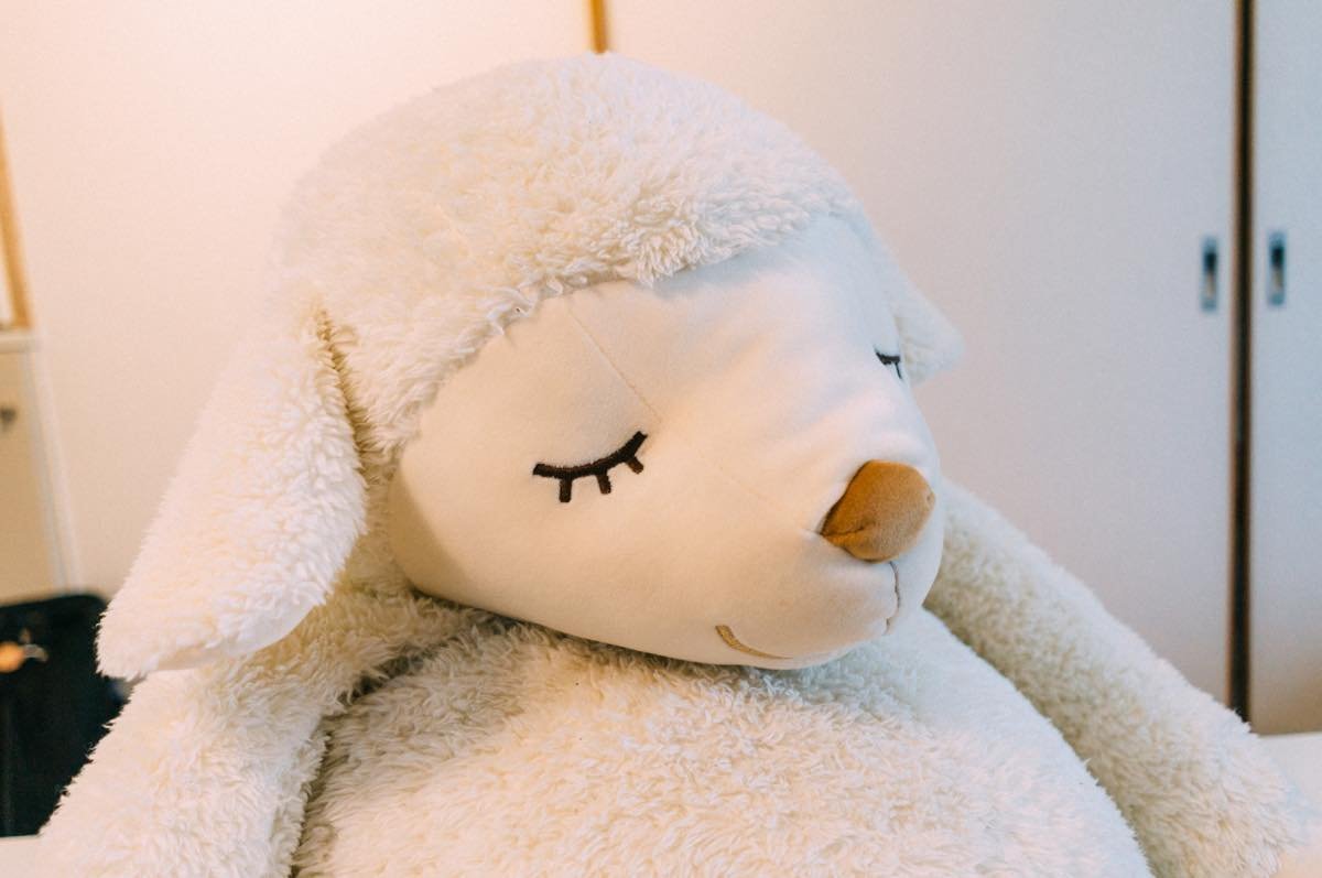 f:id:joko0108:20180405223249j:plain