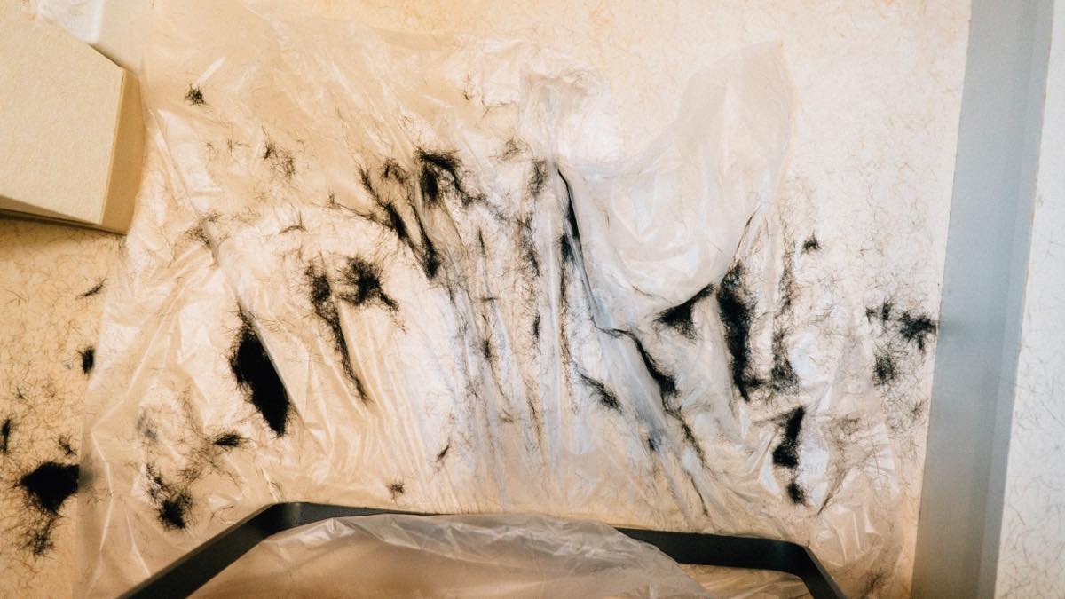 f:id:joko0108:20180527233751j:plain f:id:joko0108:20180527233751j:plain