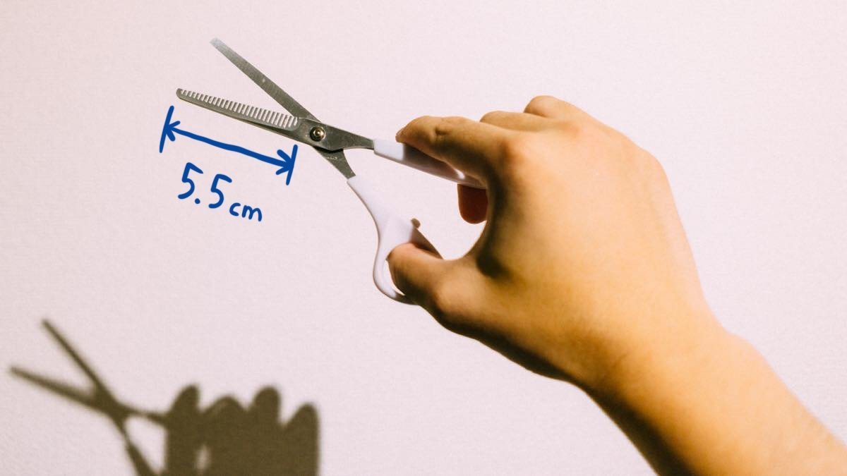 f:id:joko0108:20180717231354j:plain