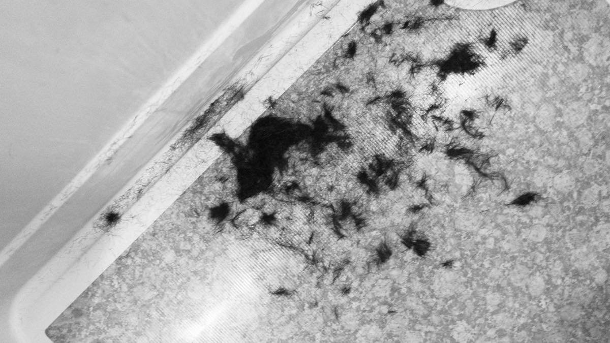 f:id:joko0108:20180717231400j:plain