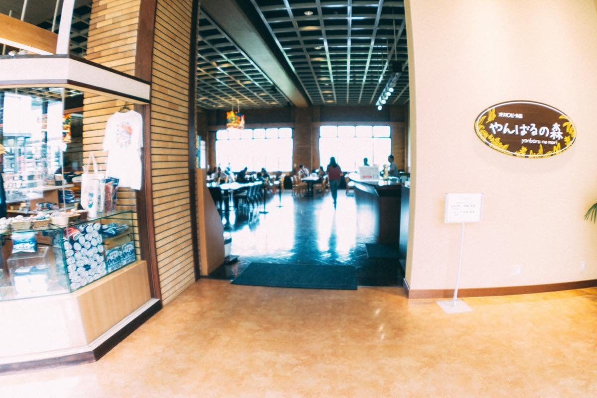 f:id:joko0108:20180730003116j:plain