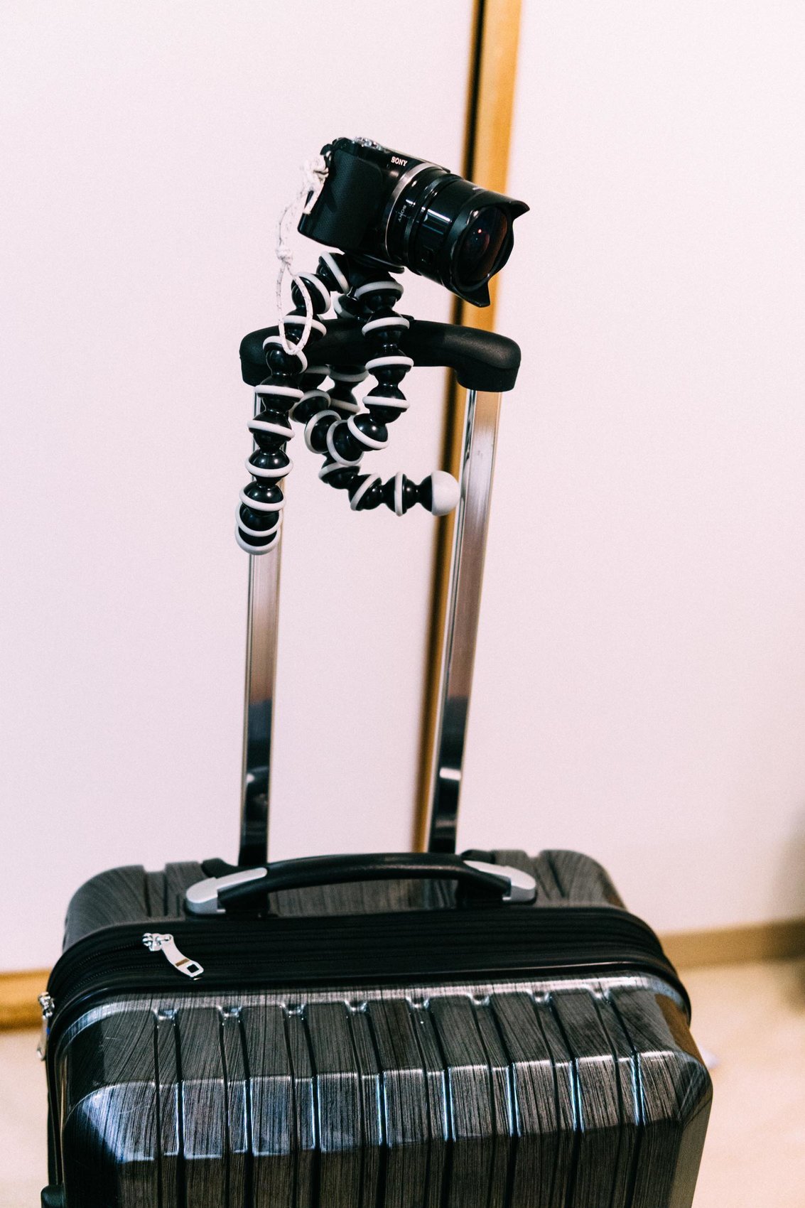 f:id:joko0108:20180913081340j:plain