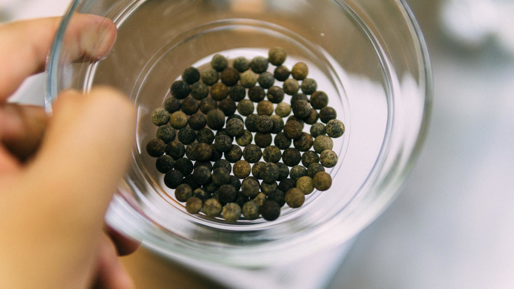 f:id:joko0108:20180919135502j:plain