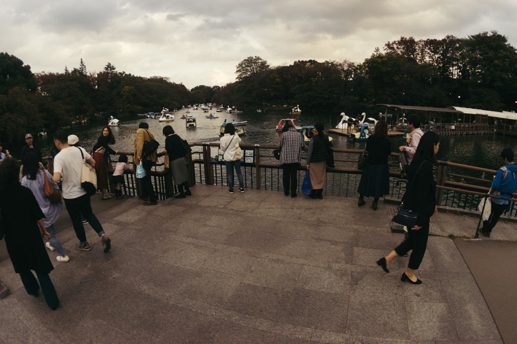 f:id:joko0108:20181114201256j:plain f:id:joko0108:20181114201256j:plain