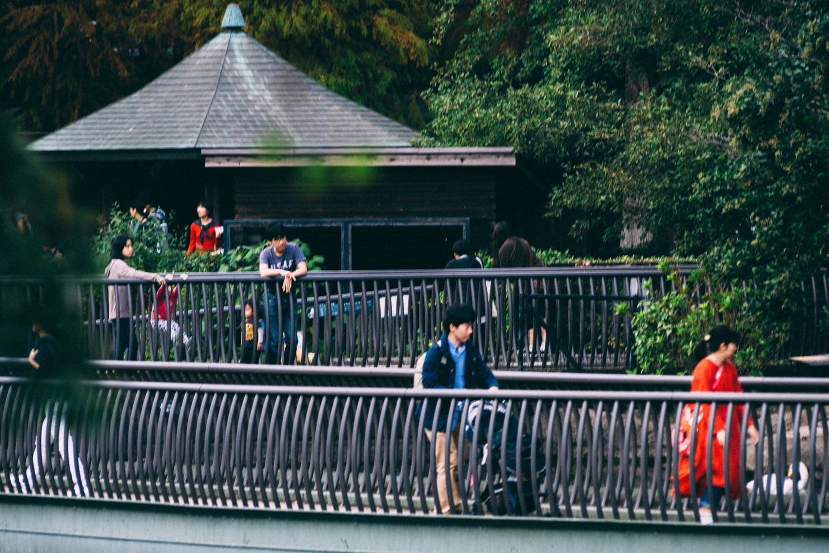 f:id:joko0108:20181114201330j:plain f:id:joko0108:20181114201330j:plain