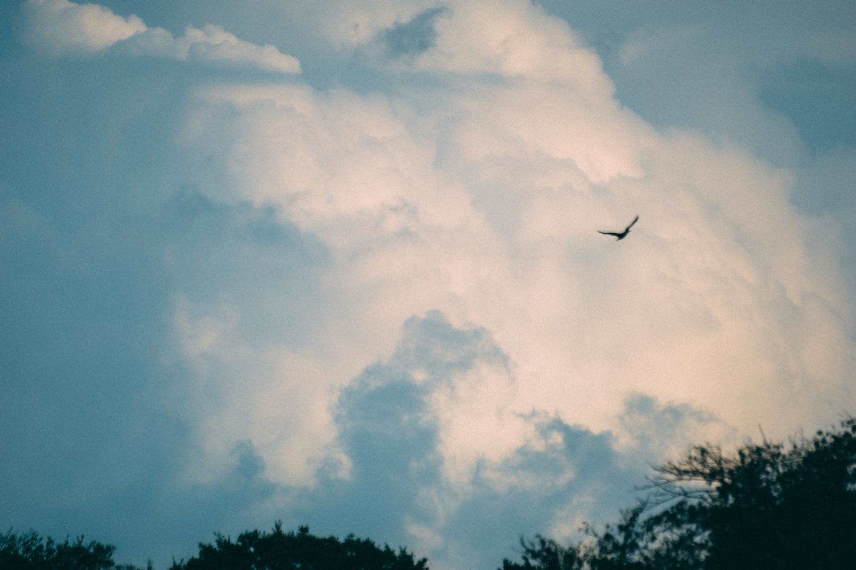 f:id:joko0108:20181114201343j:plain f:id:joko0108:20181114201343j:plain